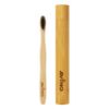 Picture of Avino Portable Toothbrush Holder Natural wooden Organic & Biodegradable Storage Tube