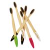 Picture of Avino Eco-Friendly, Natural wooden flat handle Toothbrush Set pk of 6 different colours