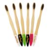 Picture of Avino Eco-Friendly, Natural wooden flat handle Toothbrush Set pk of 6 different colours