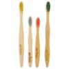 Picture of Avino 100%  natural wooden toothbrushes with flat handle (2 Adults+2 Kids) 