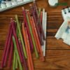 Picture of Avino Recycled Plantable Seed  colour paper Pencils  pk of 24 pencils