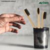 Picture of Avino Eco Friendly Natural Wooden Vegan Organic Toothbrushes for Sensitive Gums PK-3